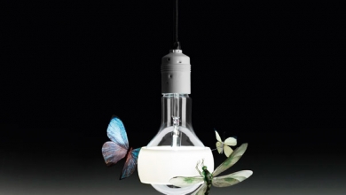 Електрическата крушка с нажежаема жичка: Поклон пред светлата й памет