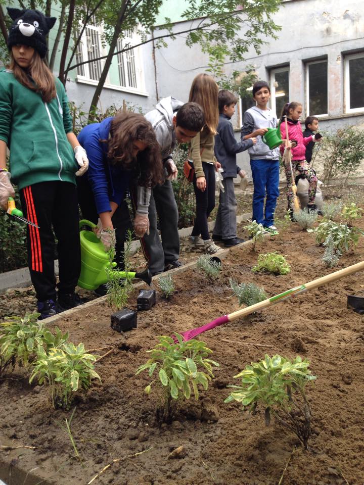 Софарма направи билкова градина в столично училище