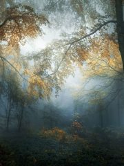 Български фотографи получиха признание от 2018 Sony World Photography Awards