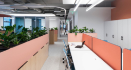 Последна публикация