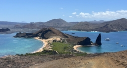 Последна публикация