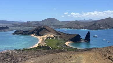 Магическо приключение в Латинска Америка